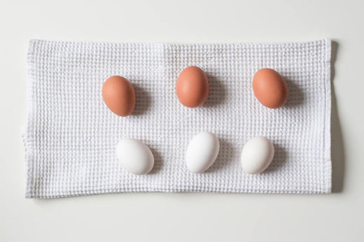Wozu dienen Proteine?