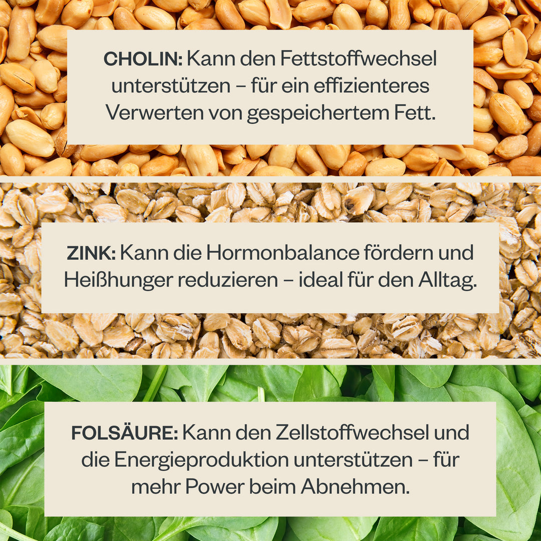 4 Wochen Abnehm Starter-Set