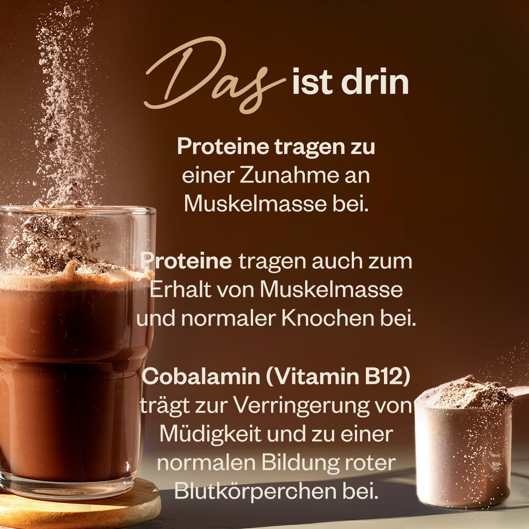 3k Choco Protein Multipack